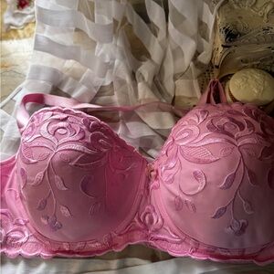 Pink Embroidered Bra — Supportive Sweetheart Silhouette